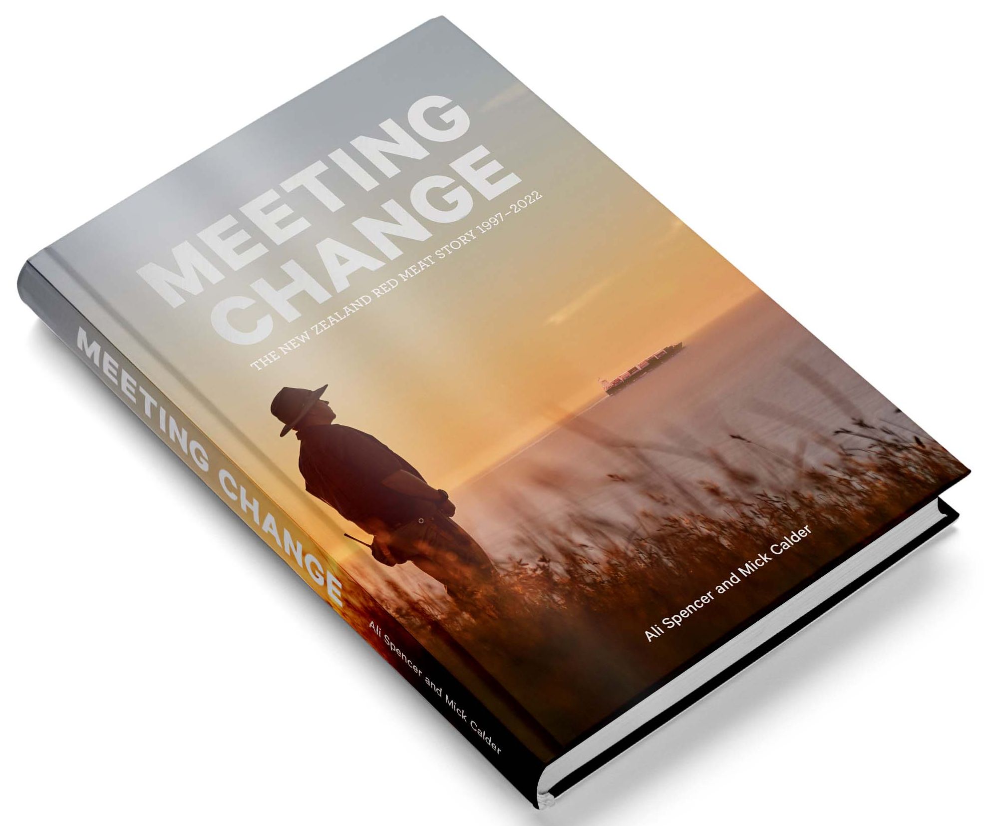 Meeting Change book cover